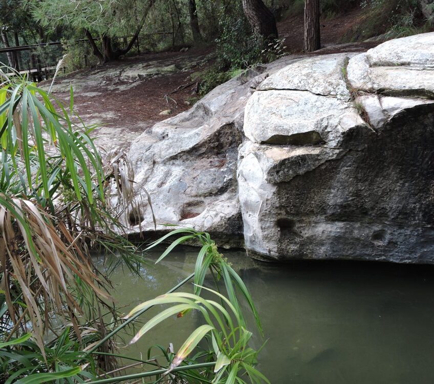 Бассейн вырубленный в скале, источник Ами