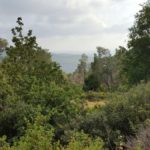 Яар Кдошим в горах Иерусалима