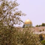 Купол Скалы, вид с Масличной горы, Иерусалим экскурсии с Арье Парнисом