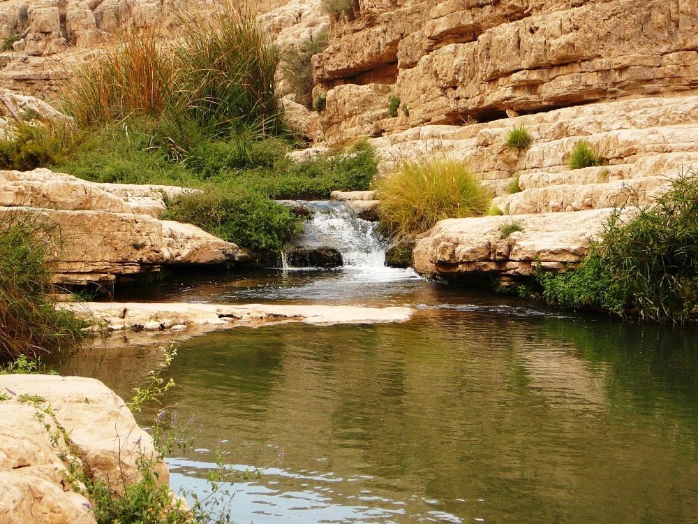 Идеальное место для отдыха в 15-ти минутах езды от Иерусалима