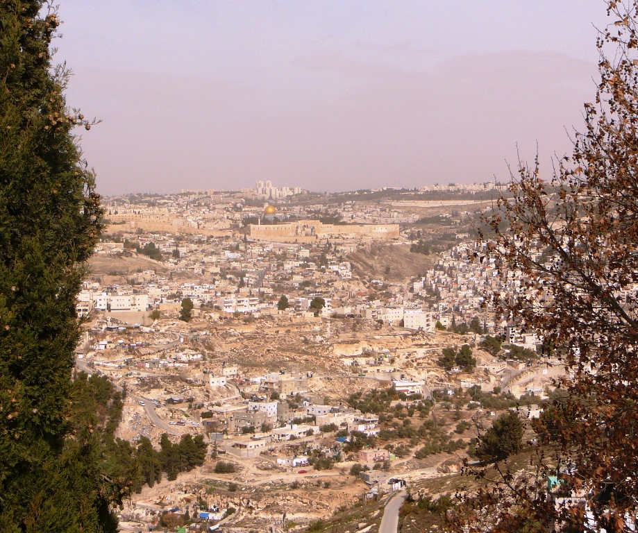 Вид на Древний Иерусалим и на Храмовую Гору с Армон а-Нацива