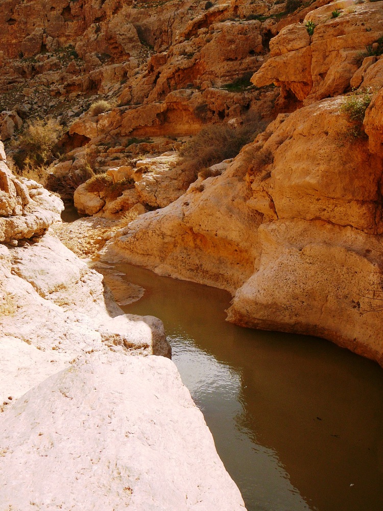 Естественные басейны в ущелье Мамшит после дождей