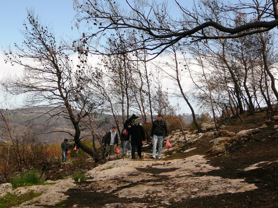 Пешая экскурсия с ребятами из Кфар Ситрина по горе Кармель