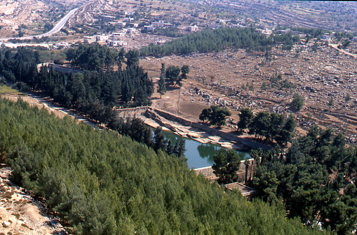Наполненные бассейны Шломо - 1981 год