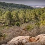 В горах Иерусалима - вид на Бейт Шемеш