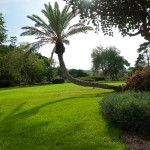 Сады барона Ротшильда - уникальное место для фотолюбителей