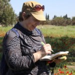 На экскурсии в Негеве - Цветущая пустыня