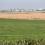 Вид в сторону Газы и Сажаии, экскурсия в Западном Негеве - Цветущая пустыня