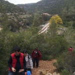 Ущелье Сорек в горах Иерусалима