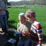 В долине Эла, экскурсия в Иудейской низменности