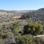 Вид на долину Заноах, Эйн Мата и мошав Мата, горы Иерусалима