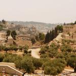 Ущелье Кидрон у подножия Храмовой горы, экскурсии по Иерусалиму